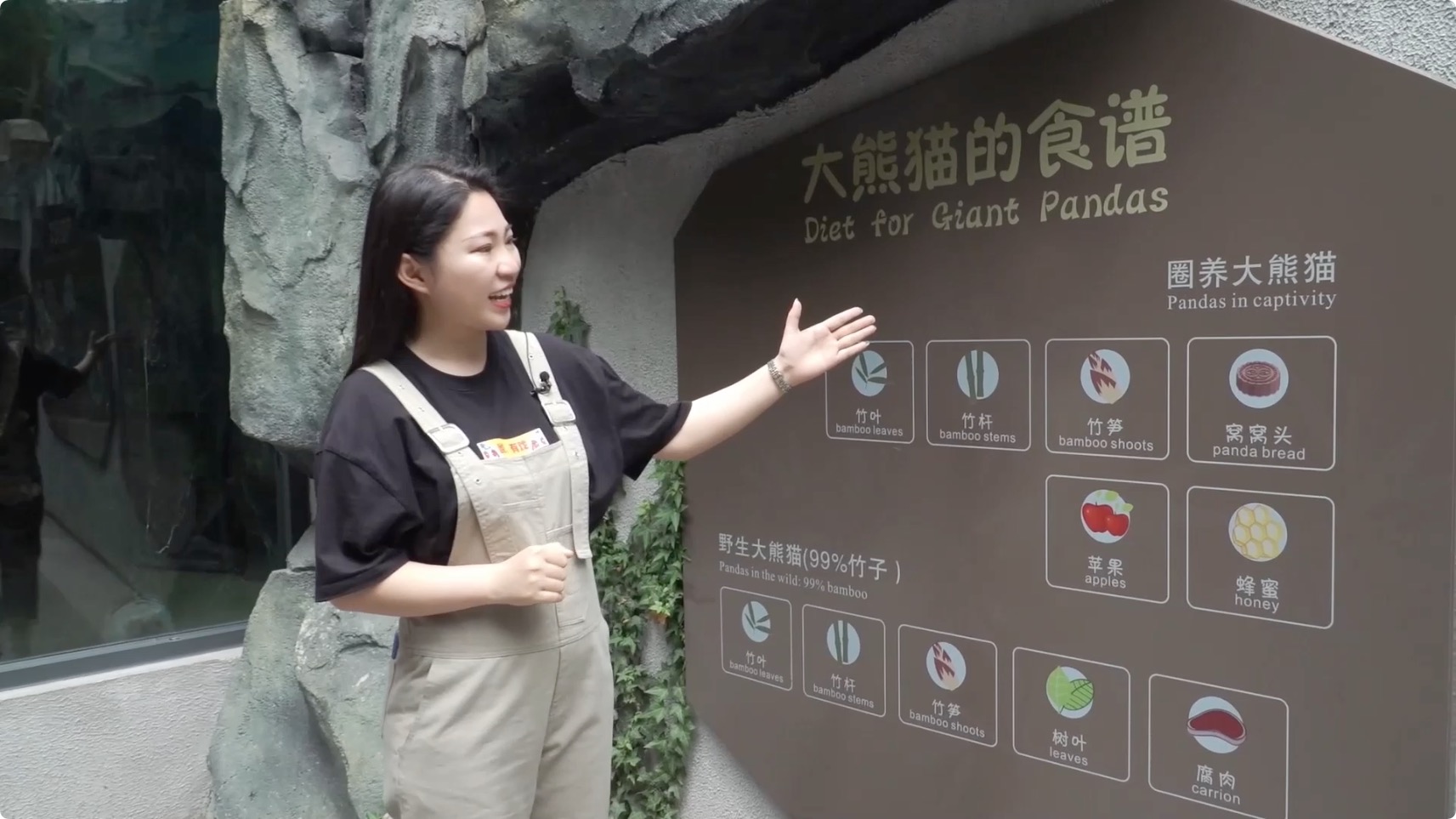 图片6：熊猫吃什么？.jpeg